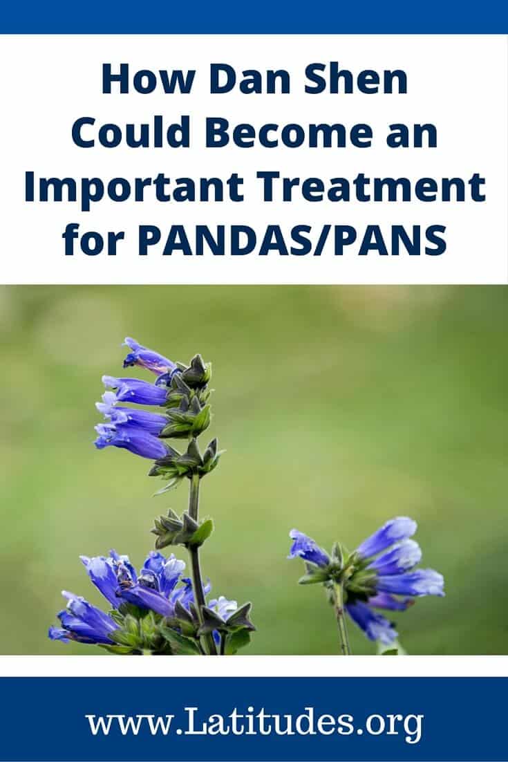 How Dan Shen Could Become an Important Treatment for PANDAS%2FPANS