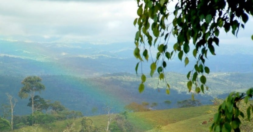 rainbow vista