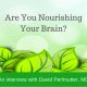 Are you nourishing your brain