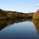 super calm water trees