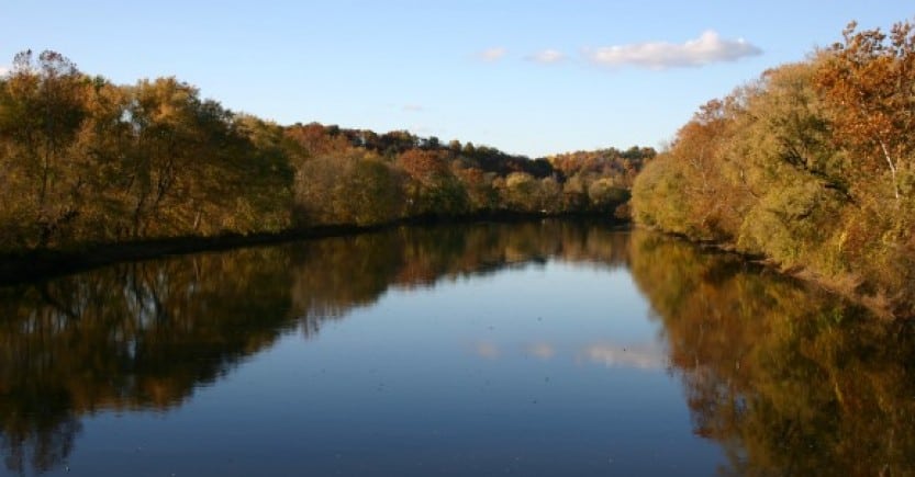 super calm water trees