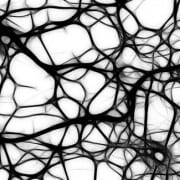 neurons2