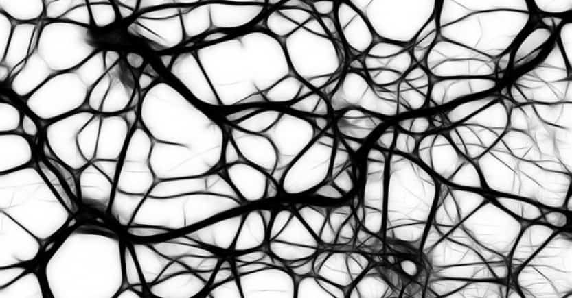 neurons2