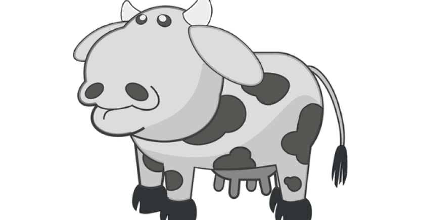 cow bw