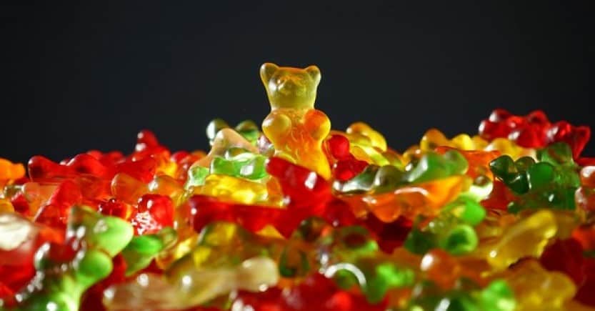 gold bear candy