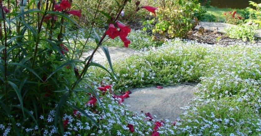 stepping stones