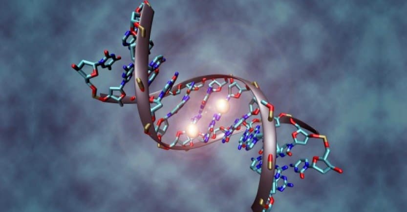 DNA methylation walsh