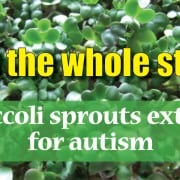 broccoli sprouts autism