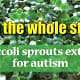 broccoli sprouts autism