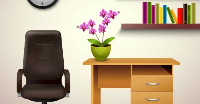 5 Great House Plants for Removing Toxins (Premium)