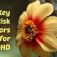 8 Key Risk Factors for ADHD 1