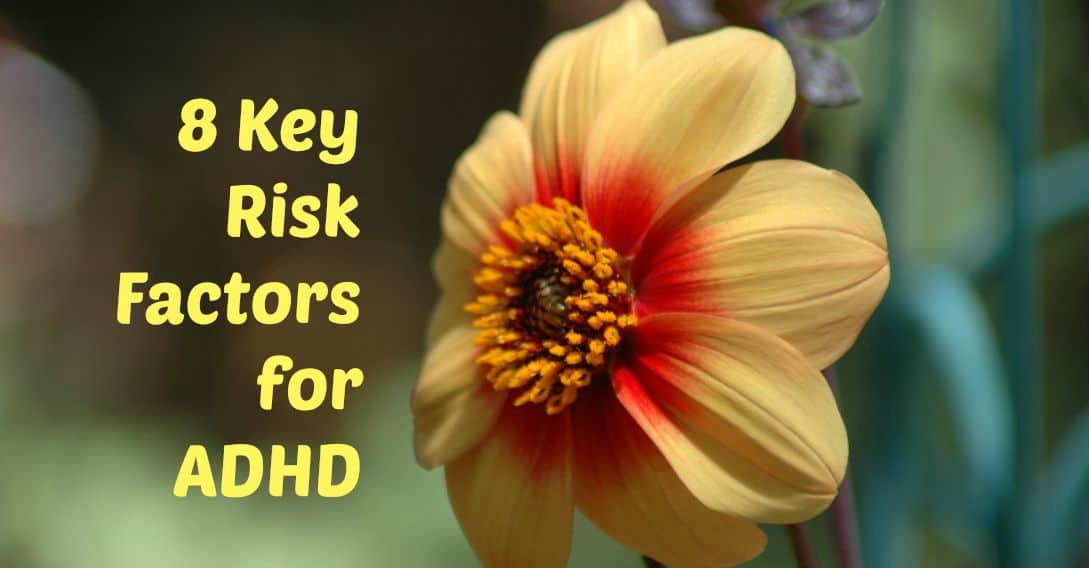 8 Key Risk Factors for ADHD 1