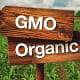 7 reasons we need to wake up about GMOs