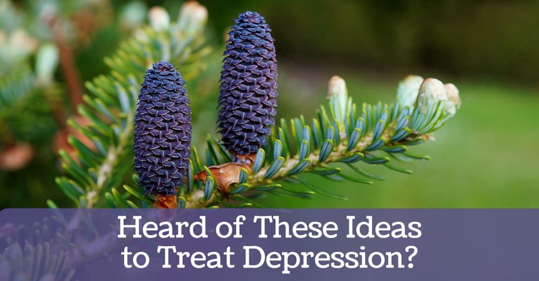 Heard of these Ideas to Treat Depression Blog 2