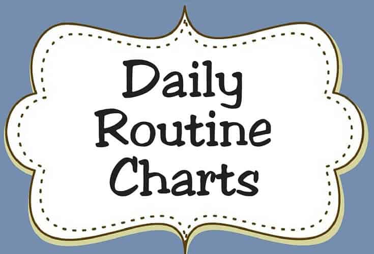 Daily Routine Charts Icon