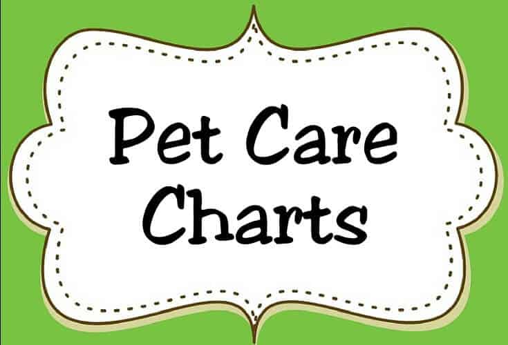 Pet Care Charts Icon