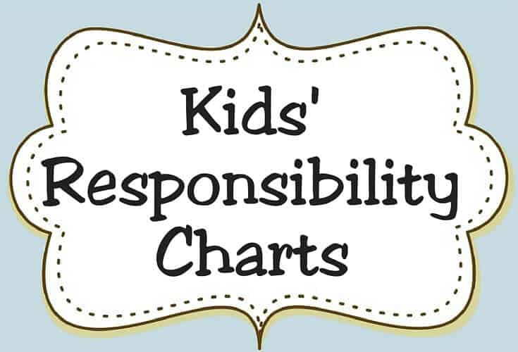 Responsibility Charts Icon