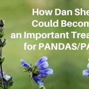 How Dan Shen Could Become Important Treatment PANDAS-PANS