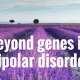 beyond genes in bipolar disorder