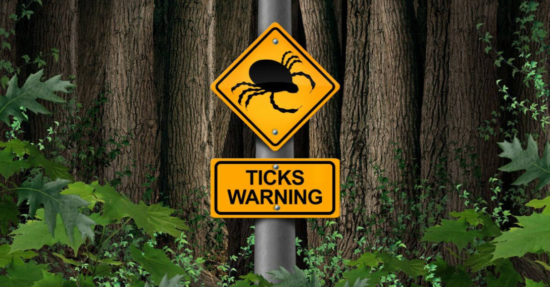 woods sign warning ticks