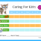 Caring for Kitty Pet Chart (Fillable)
