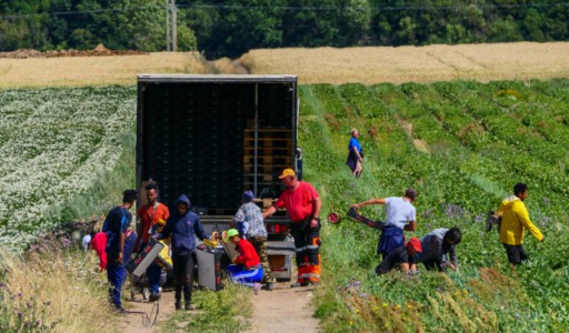 Farm workers pesticides