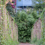 Naturopath Approach to Lyme Outdoor garden area