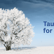 Taurine for tics study taurine for tics study